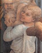 Fra Filippo Lippi Details of  Madonna and Child with Two Angels oil on canvas